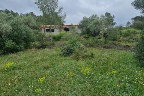 Ruïna a Mora D'ebre, Tarragona, Mora D'ebre - € 38.000 | Ref: 958 Lumoru - foto 15